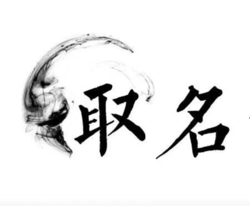  阳高宝宝取名 大师一对一人工起名
